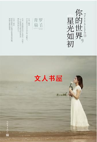 你的世界,星光如初TXT全集封面