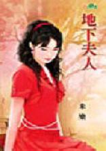 地下夫人TXT全集封面