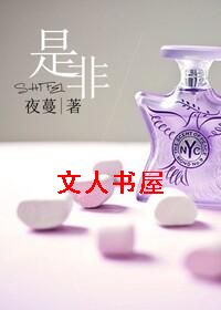 是非TXT全集封面