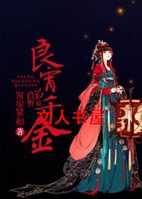 良宵赠千金TXT全集封面