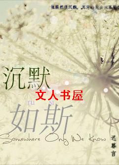 沉默如斯TXT全集封面
