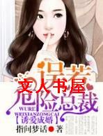 诱爱成婚,误惹危险总裁TXT全集封面