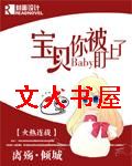 宝贝你被盯上了TXT全集封面