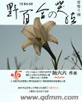 野百合的哭泣TXT全集封面