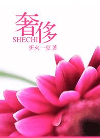 奢侈TXT全集封面