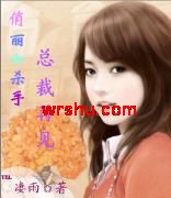 俏丽女杀手:总裁,再见TXT全集封面