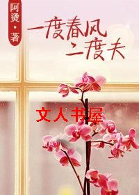 一度春风二度夫TXT全集封面