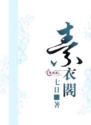 素衣阁TXT全集封面