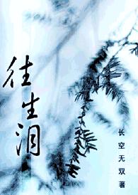 往生泪TXT全集封面