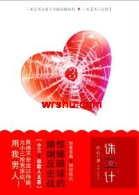 恶整小三启示录:诛三计TXT全集封面