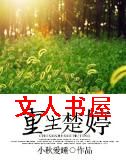 重生楚婷TXT全集封面