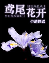 鸢尾花开TXT全集封面