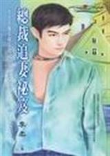 总裁追妻秘笈TXT全集封面