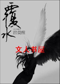 覆水TXT全集封面