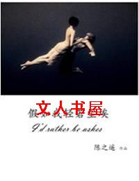 假如我轻若尘埃TXT全集封面