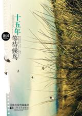 十五年等待侯鸟TXT全集封面