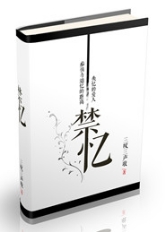 禁忆TXT全集封面