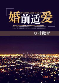 婚前适爱TXT全集封面