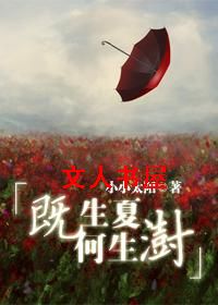 既生夏何生澍TXT全集封面