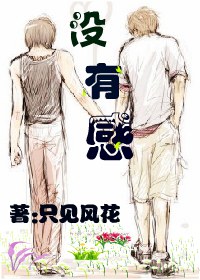 没有感TXT全集封面