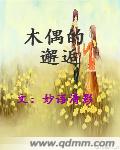 木偶的邂逅TXT全集封面