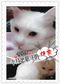 一个尽忠职守的炮灰TXT全集封面