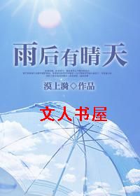 雨后有晴天TXT全集封面