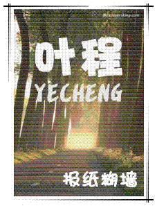 叶程TXT全集封面