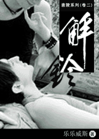 解铃TXT全集封面