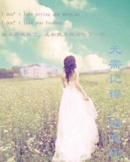 无需记得,请忘记TXT全集封面
