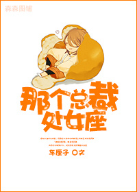 那个总裁,处女座TXT全集封面