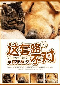 这套路不对!TXT全集封面