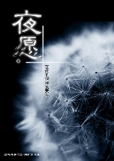 夜愿TXT全集封面