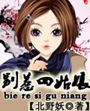 别惹四姑娘TXT全集封面