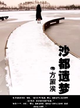 沙都遗梦TXT全集封面