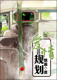爱情规划TXT全集封面
