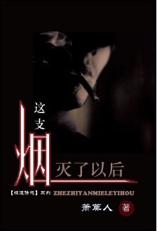 这支烟灭了以后TXT全集封面