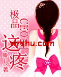 极品CEO这里疼TXT全集封面