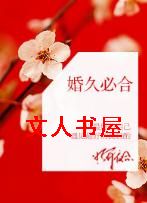 婚久必合TXT全集封面
