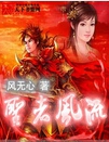 圣者风流TXT全集封面