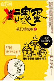 极品魂蛋TXT全集封面