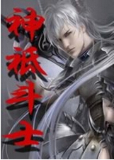 神祗斗士TXT全集封面