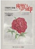 所罗门封印TXT全集封面