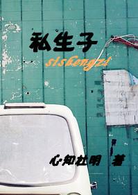 私生子TXT全集封面