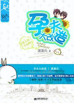 孕夫大改造TXT全集封面