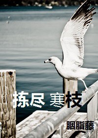 拣尽寒枝TXT全集封面