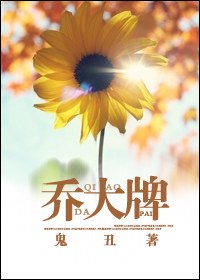 乔大牌TXT全集封面