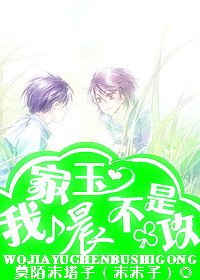 我家玉晨不是攻TXT全集封面