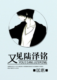 又见陆泽铭TXT全集封面