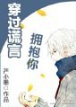 穿过谎言拥抱你TXT全集封面
